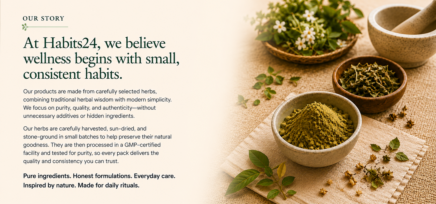 At Habits24, we believe wellness begins with small, consistent habits.